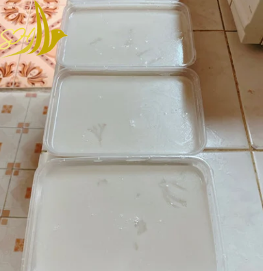 YẾN SÀO SHAO - CHẤT TỪ SỢI - THẬT TỪ TÂM