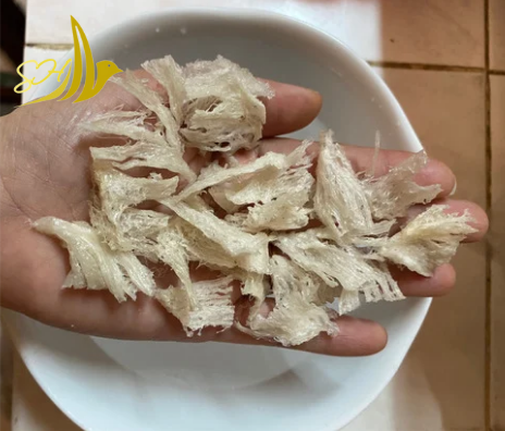 YẾN SÀO SHAO - CHẤT TỪ SỢI - THẬT TỪ TÂM