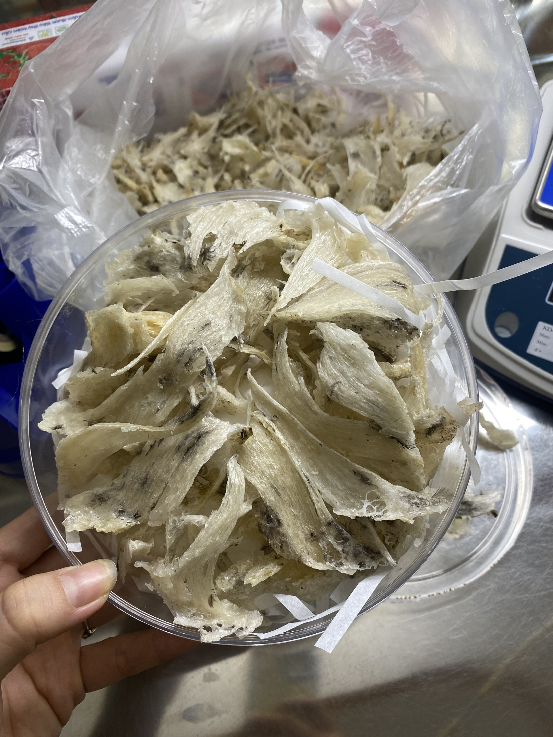 yến sào quận 6