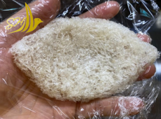 Tổ Yến Non Hay Già Tốt Hơn