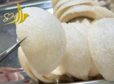 Một Chút Cẩm Nang Về Sản Phẩm Yến Sào | Yến Sào Shao