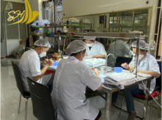 Gia Công Tinh Chế Yến Sào