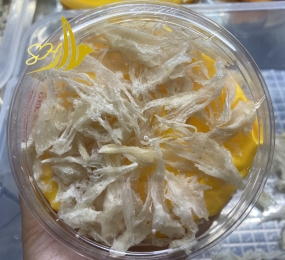 CHÂN YẾN TUA SỢI (25Gr) 燕角帶條