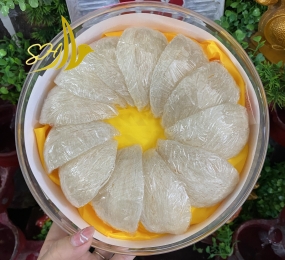 YẾN ĐỊNH HÌNH LOẠI 1 (100GR) 定型燕盞 