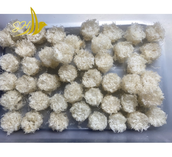 YẾN VỤN BABY SET (10Gr) 粒碎燕 