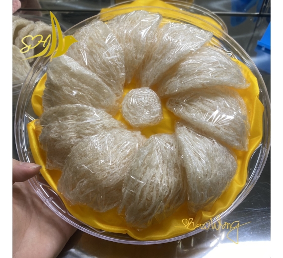 YẾN TINH CHẾ ĐẦY MẶT SỢI (100gr)精製滿面條及肚條燕盞