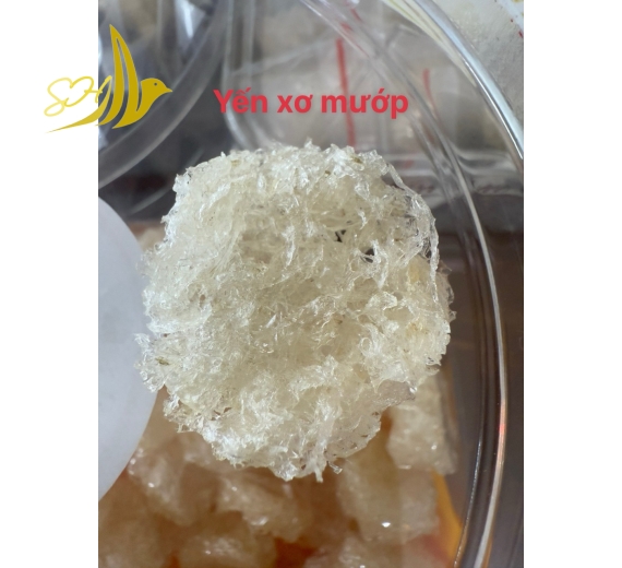 YẾN BABY XƠ MƯỚP HỘP QUÀ 10 PCS  (15 GR) 肚條粒碎燕    