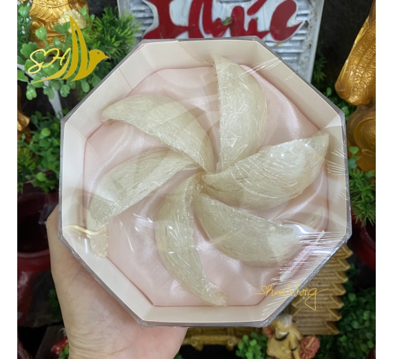 YẾN ĐỊNH HÌNH A5 LOẠI 1 (50Gr) 定型燕盞 