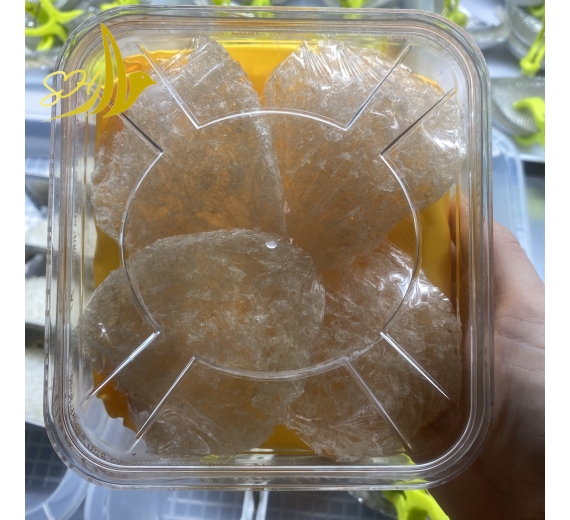 YẾN VỤN NGUYÊN CHẤT (25Gr) 小碎燕 