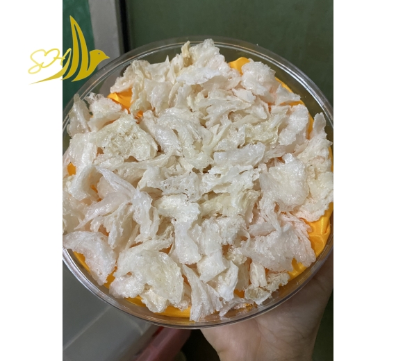 CHÂN CỤC (100gr) 燕角