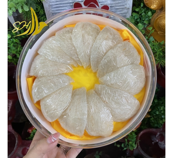 YẾN ĐỊNH HÌNH LOẠI 1 (100GR) 定型燕盞 