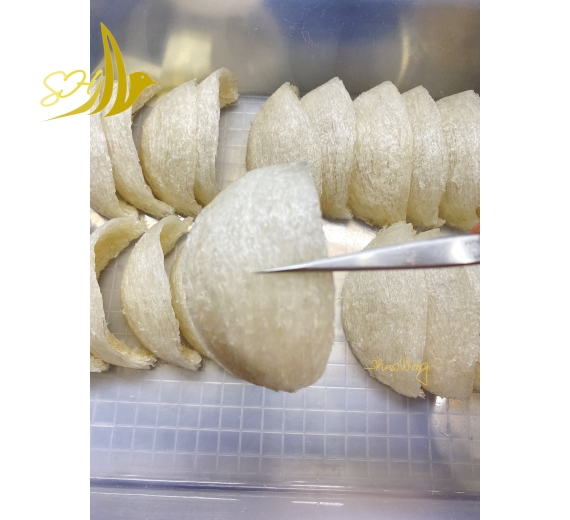 YẾN ĐỊNH HÌNH LOẠI 1 (100GR) 定型燕盞 