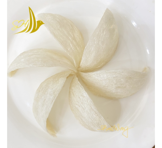 YẾN ĐỊNH HÌNH LOẠI 1 (100GR) 定型燕盞 