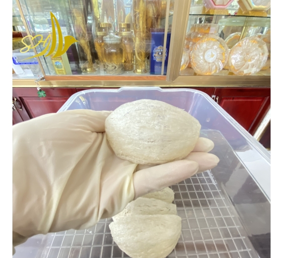 YẾN ĐỊNH HÌNH LOẠI 1 (100GR) 定型燕盞 