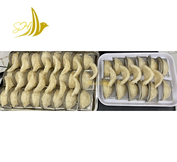 YẾN TINH CHẾ ĐẦY MẶT SỢI (50gr)精製滿面條及肚條燕盞