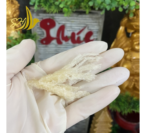CHÂN YẾN TUA SỢI (500Gr) 燕角帶條