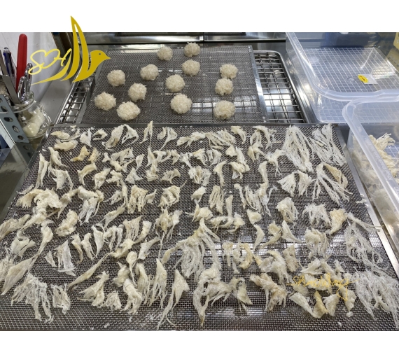 CHÂN YẾN TUA SỢI (50gr) 燕角帶條