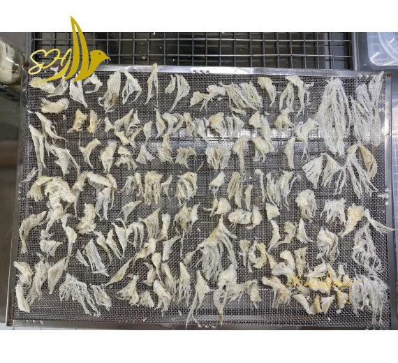 CHÂN YẾN TUA SỢI (500Gr) 燕角帶條
