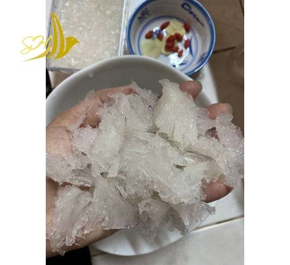 CHÂN YẾN TUA SỢI (25Gr) 燕角帶條