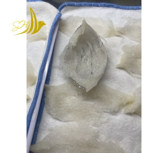 RÚT LÔNG XƯƠNG SỢI TAI (100gr) 100%全條燕盞