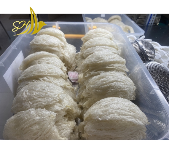 HỘP QUÀ RÚT LÔNG XƯƠNG SỢI TAI (300Gr) 100%全條燕盞