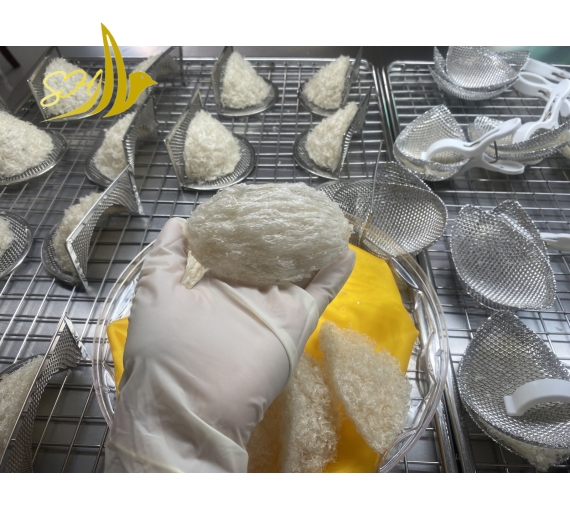 HỘP QUÀ RÚT LÔNG XƯƠNG SỢI TAI (300Gr) 100%全條燕盞