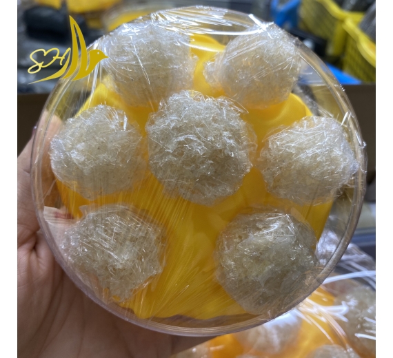 YẾN BABY XƠ MƯỚP(25Gr) 粒型肚燕