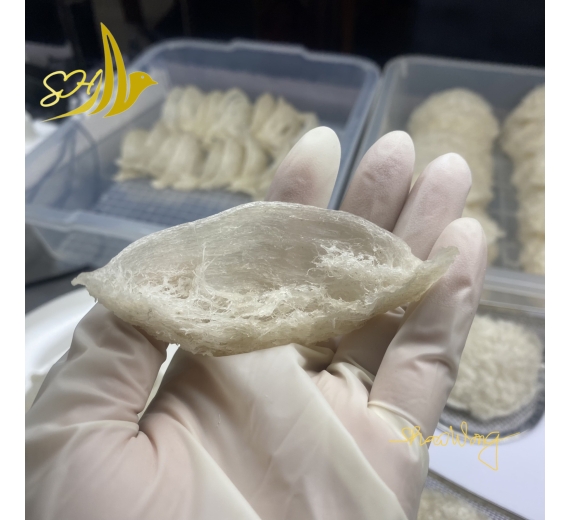 RÚT LÔNG KHÔ LOẠI 1 (100Gr) 乾挑燕盞 - L1級