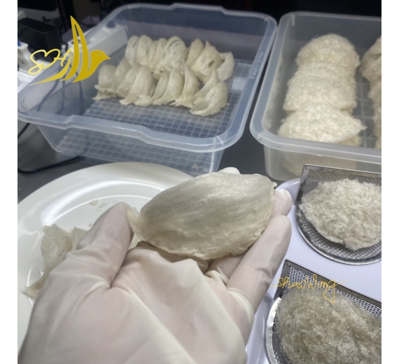 RÚT LÔNG KHÔ LOẠI 1 (100Gr) 乾挑燕盞 - L1級