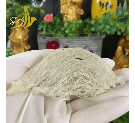RÚT LÔNG KHÔ LOẠI 1 (100Gr) 乾挑燕盞 - L1級