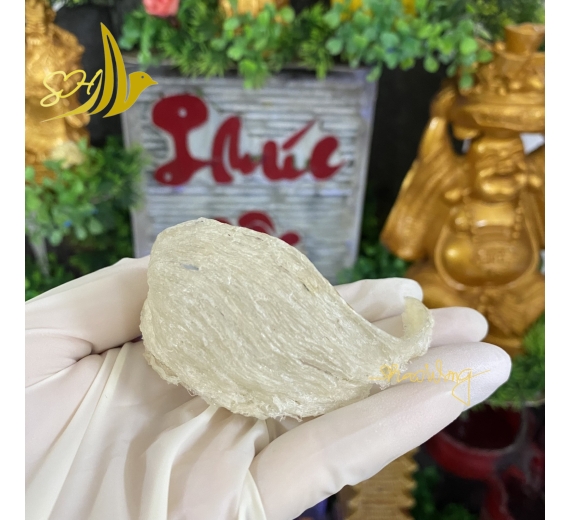 RÚT LÔNG KHÔ LOẠI 1 (100Gr) 乾挑燕盞 - L1級