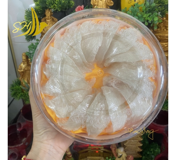RÚT LÔNG KHÔ LOẠI 1 (100Gr) 乾挑燕盞 - L1級