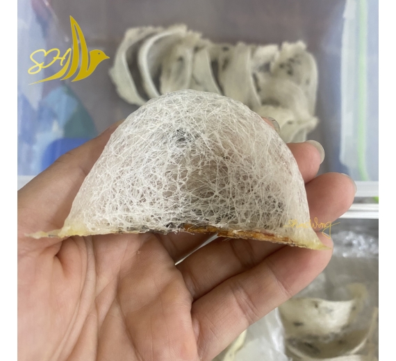 THÔ NGUYÊN TỔ ĐB ÍT LÔNG (100gr) 特少毛毛燕