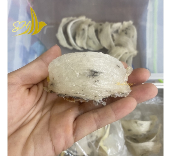THÔ NGUYÊN TỔ ĐB ÍT LÔNG (100gr) 特少毛毛燕