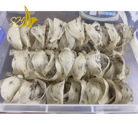THÔ NGUYÊN TỔ ĐB ÍT LÔNG (100gr) 特少毛毛燕