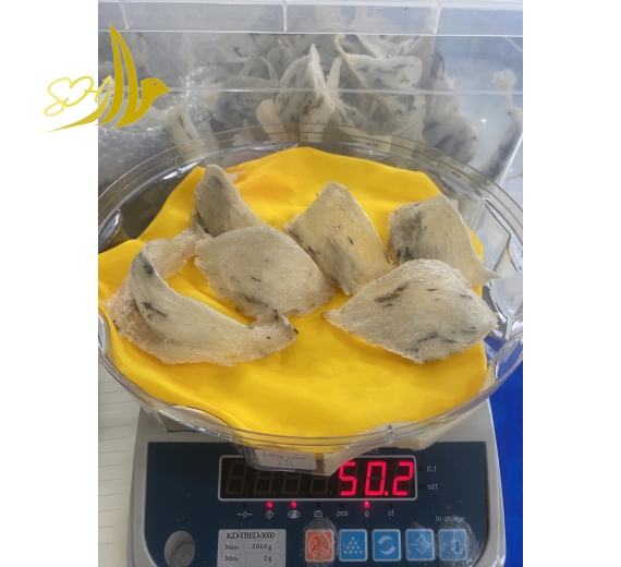 THÔ NGUYÊN TỔ ĐB ÍT LÔNG (50gr) 特少毛毛燕