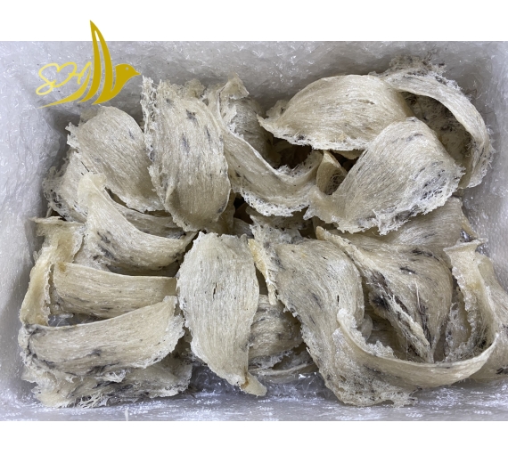 THÔ NGUYÊN TỔ ĐB ÍT LÔNG (100gr) 特少毛毛燕