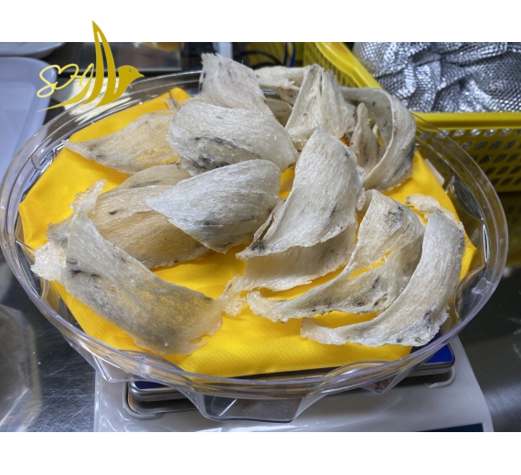 THÔ NGUYÊN TỔ ĐB ÍT LÔNG (100gr) 特少毛毛燕