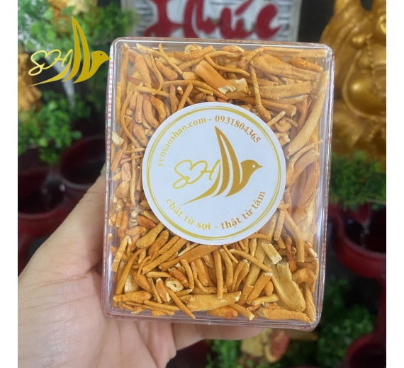 NẤM ĐÔNG TRÙNG HẠ THẢO GÃY  (10G) 冬蟲夏草蘑菇 斷條