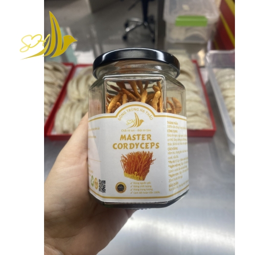 NẤM ĐÔNG TRÙNG HẠ THẢO ĐB (10G) 冬蟲夏草蘑菇 特級