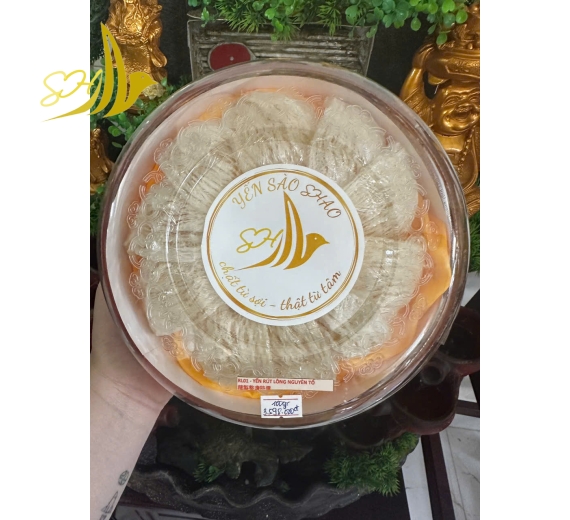 YẾN RÚT LÔNG NGUYÊN TỔ (100gr) 精製整盞特選